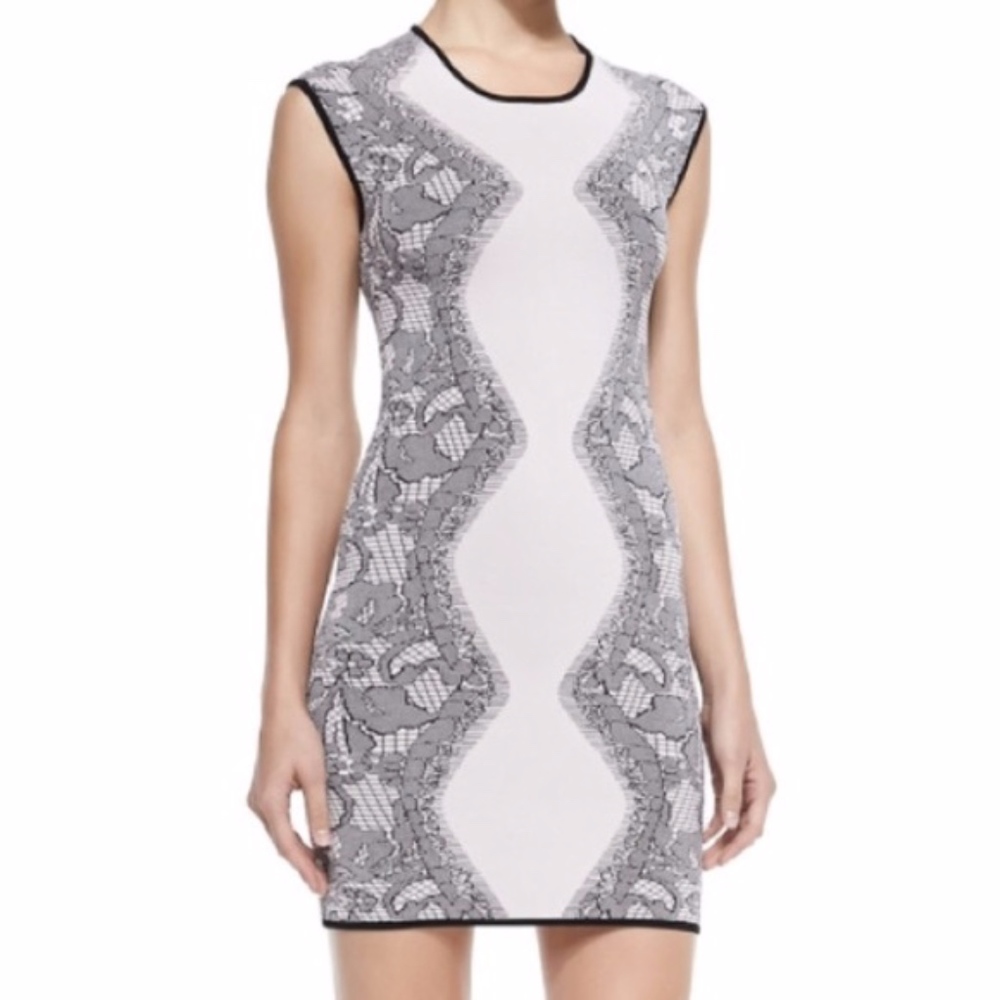 NWT Parker Blush Fitted Dress